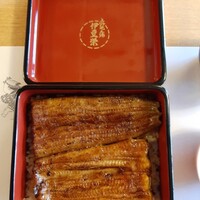 鰻割烹 伊豆栄 本店 -  鰻割烹 伊豆栄 本店 -