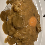 INDIAN CURRY - 