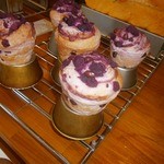 アルファルファ - 【2014年1月】新作です！