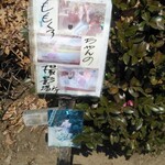 ラーメン定度 - 