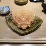 Sushi Kunimitsu - 甲羅を開けると、
