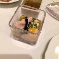 サーラ アマービレ - 