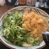 丸亀製麺 - かけうどん　¥390(税込)