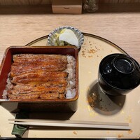うなぎ 目白ぞろ芽 - 