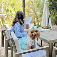 GENTLE Dining - 