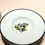 フォリオリーナ・デッラ・ポルタ・フォルトゥーナ - 