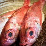 食酒 蔵 - 新鮮な食材