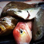 食酒 蔵 - 新鮮な食材