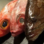 食酒 蔵 - 新鮮な食材