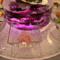 スミレオオサカ -  スミレオオサカ -