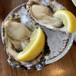 オーシャン ハーベスト ココモ - 