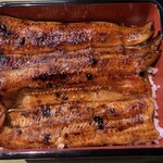 Unagi Fujita - 