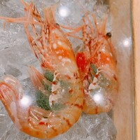 鮨 大照 - 