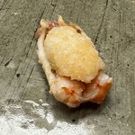 ガンツウ - ボタンエビ