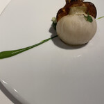 レフェルヴェソンス - 