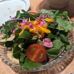焼鳥 六鳥 - サラダ