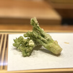 Tempura Miyashiro - 