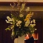 タテル ヨシノ ビズ  - 