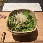 日本焼肉はせ川 別亭 - 早採り野菜のサラダ