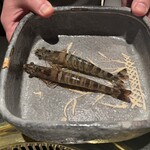 日本焼肉はせ川 別亭 - 車海老