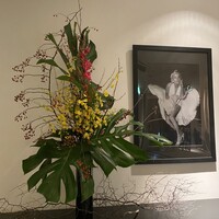 博多もつ鍋 やま中 赤坂店 - 