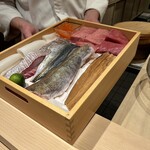 鮨白 - 本日の素材