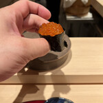 鮨白 - 北海道のイクラ