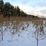 玉の湯旅館 - 客室からの眺め