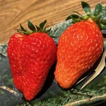 温石 - きらぴかと章姫