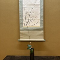 日本料理 新茶家 - 梅の掛け軸