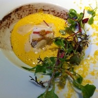 アニエルドール - 仔鴨もも肉のムース、バースニップ（白人参）、紫マスタード、ミモレット