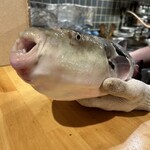 活魚居酒屋 マルフク - 