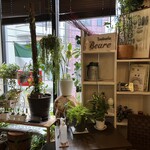 トラットリアベアーレ - 店内の雰囲気です。（2024年3月）