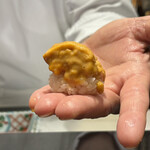 鮨 くまくら - 雲丹