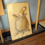 料亭 やまさ旅館 - スッポンのはく製