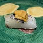 鮨処 池上 - 剣先イカ 雲丹