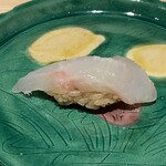 鮨処 池上 - 【追加】寒鯛（瘤鯛）