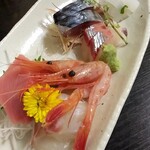 樽見 - お刺身盛込（小）