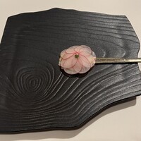 銀座 レストラン オザミ - ラディッシュ