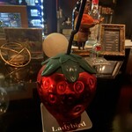 Bar Ladybird - 