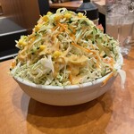 焼肉 ざんまい - ざんまい半サラダ(半でもかなりの量)