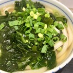 手打うどん 長谷沼 - わかめうどん(温) 700円