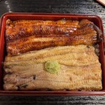 Unagi Idumi - 