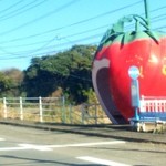 山しげ - トマトのバス停。