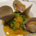 レストラン ラッセ - 26年1月　小蛤と菜の花のリゾット　サフラン風味　アップ