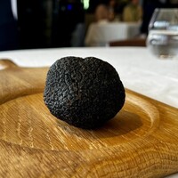 ヴォーロ・コズィ - 