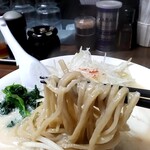 らーめん蔵花 - 太麺　弾力あり。