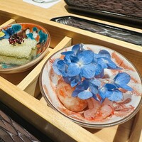 五本木 響 - 