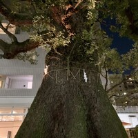 クリマ ディ トスカーナ - 
