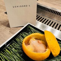 USHIGORO S. NISHIAZABU - 